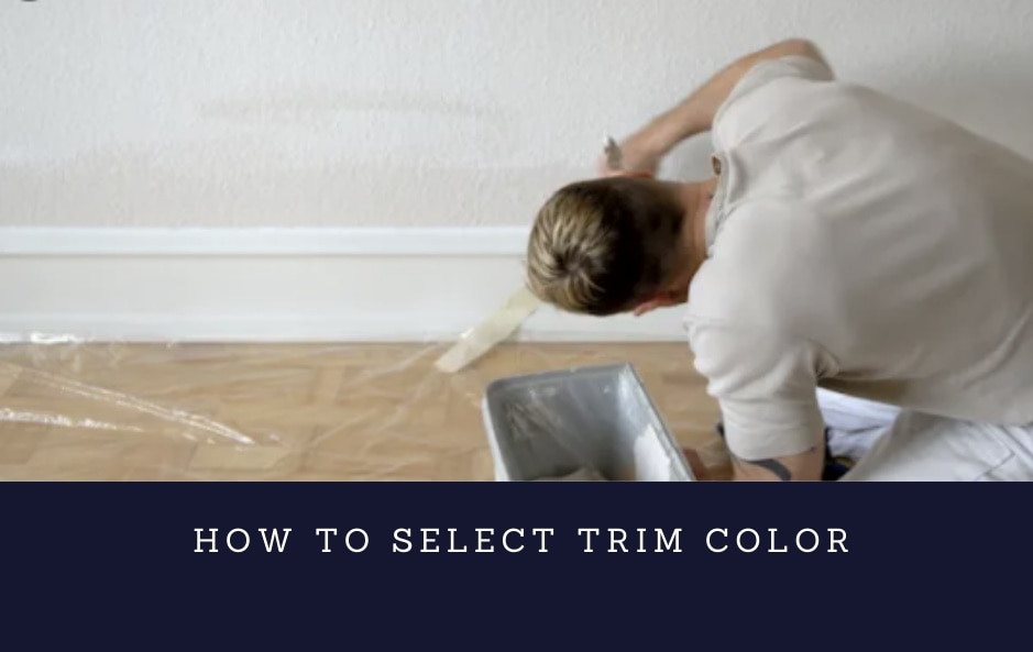 Selecting a trim color